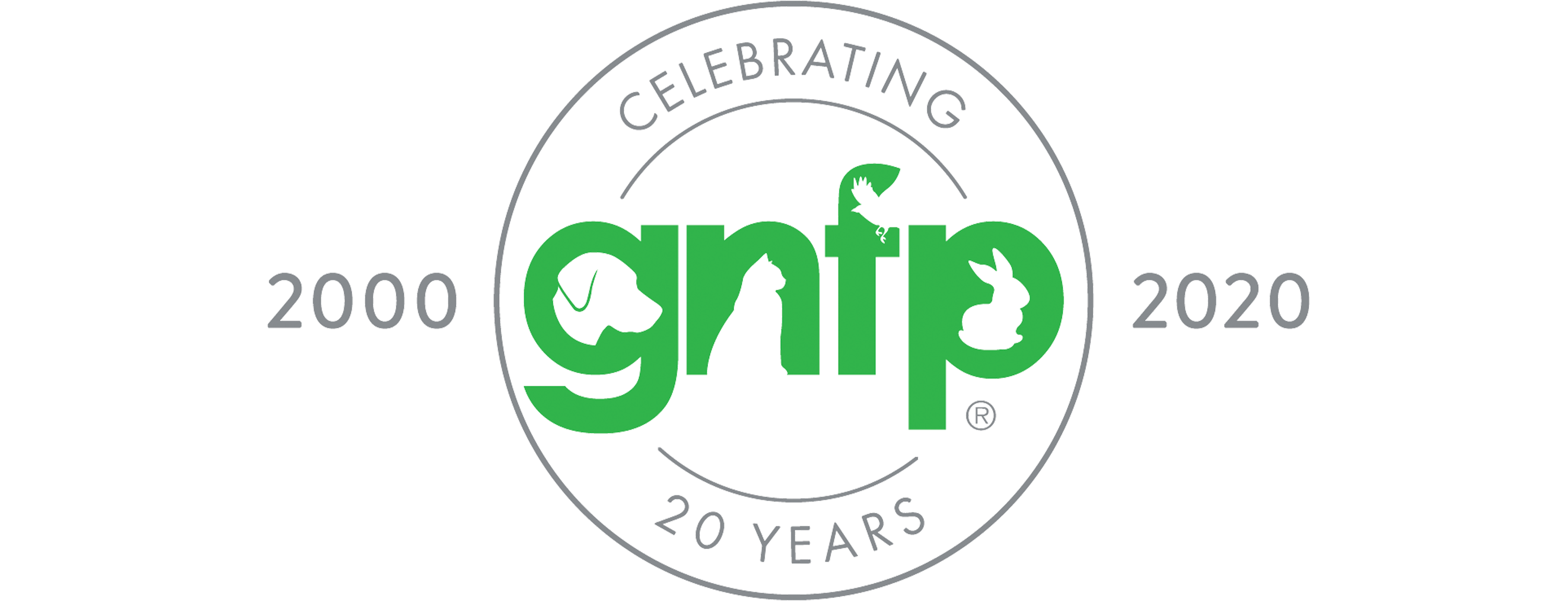 TSNN Logo