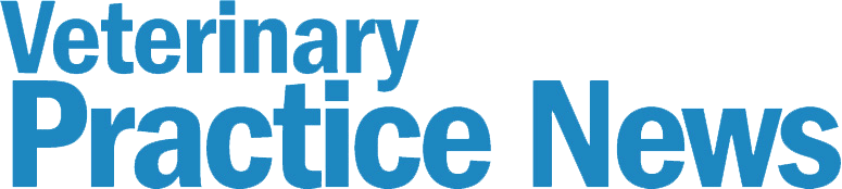 VPN Logo